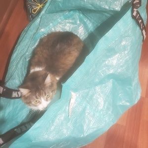 Meet your Posher, Souhail